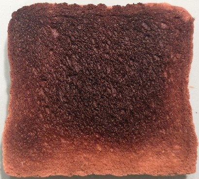 Toast 13