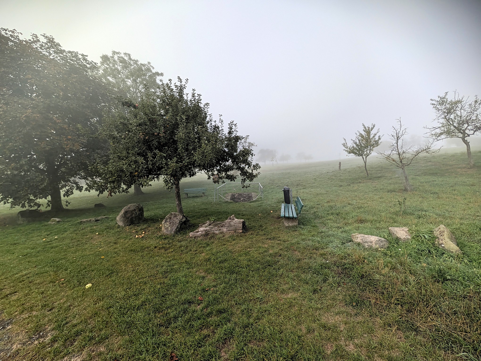 Birnkheim – ein Dorf ist verschwunden.